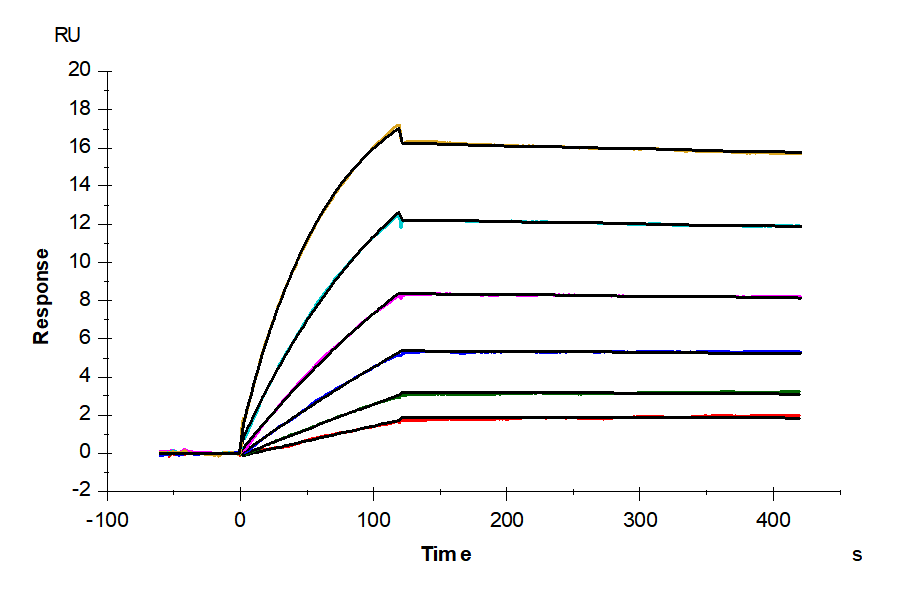 Biotinylated Human CCR4 Nanodisc (CCR-HM14NB)