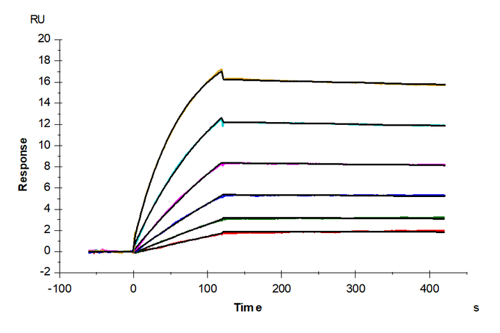 Biotinylated Human CCR4 Nanodisc (CCR-HM14NB)