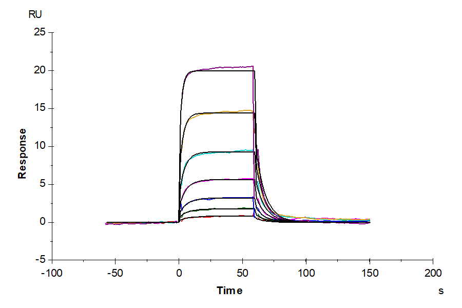 Mouse IL-6 R alpha/CD126 Protein (ILR-MM16R)
