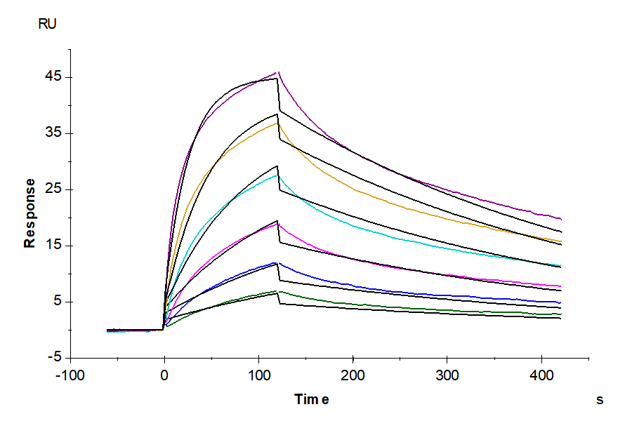 Human IL-5 R alpha/CD125 Protein (ILR-HM15R)