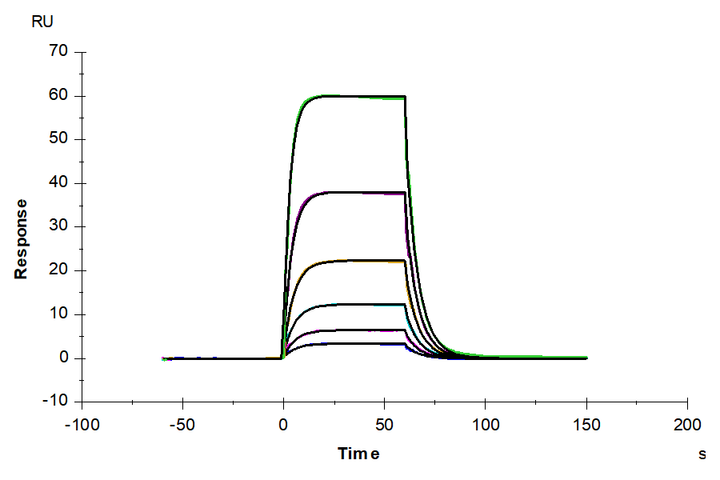 Human IL-2 Protein (IL2-HM001)