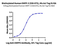 Biotinylated Human ENPP-3 (558-875) Protein (ENP-HM406B)