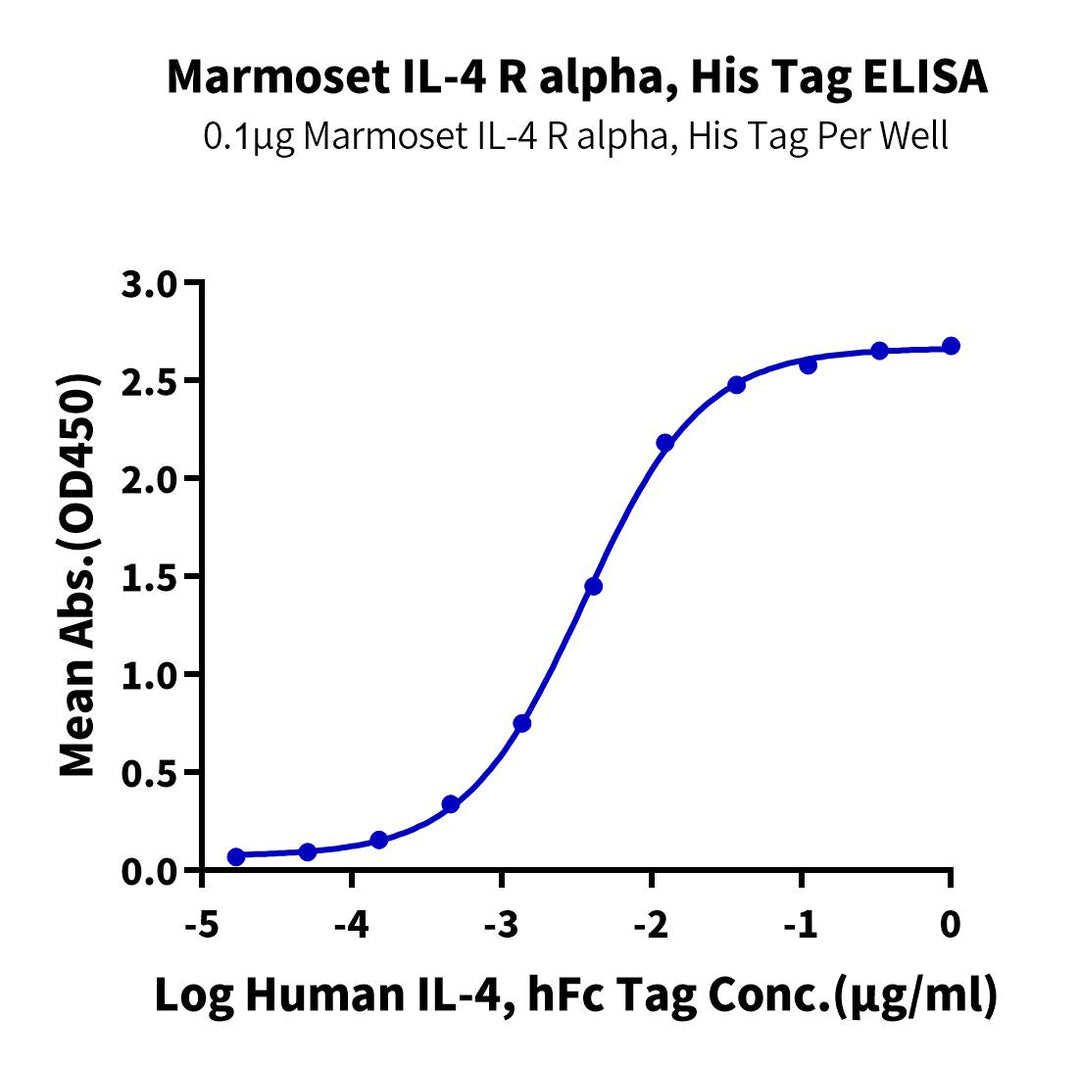 Marmoset IL-4 R alpha/CD124 Protein, Ultra Low Endotoxin (ILA-CM24R-UL)
