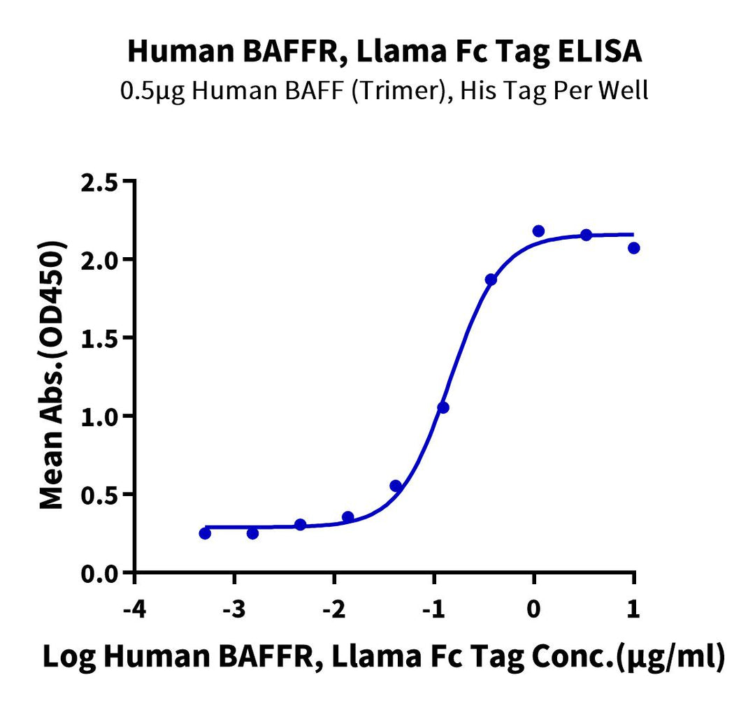 Human BAFFR/TNFRSF13C Protein (BAF-HM60R)