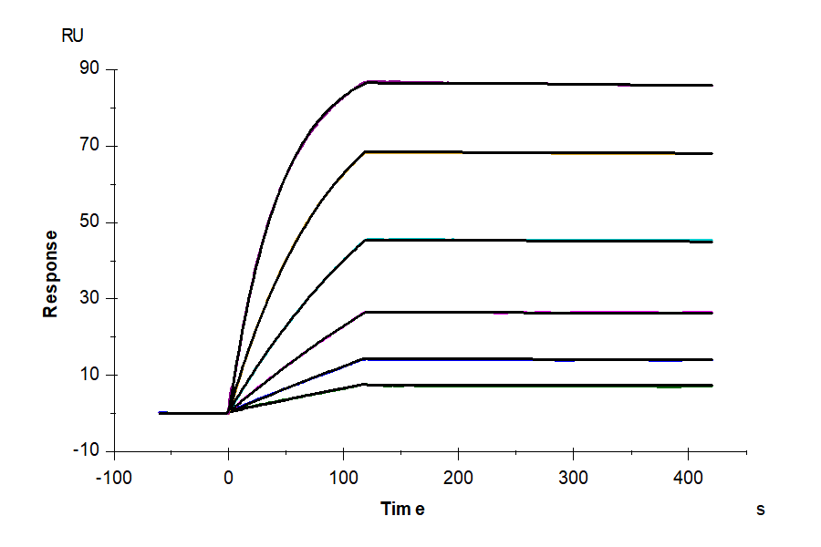 Biotinylated Human CXCR6 Nanodisc (CXC-HM16NB)