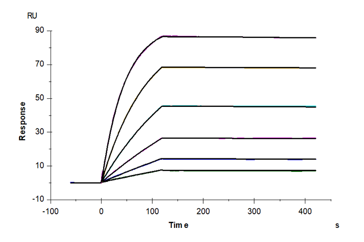 Biotinylated Human CXCR6 Nanodisc (CXC-HM16NB)