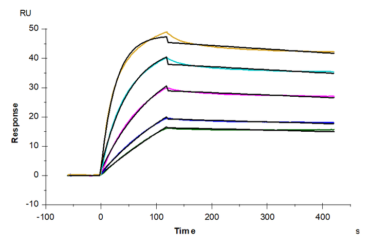 Biotinylated Human TNFSF15 Protein (FSF-HM415B)