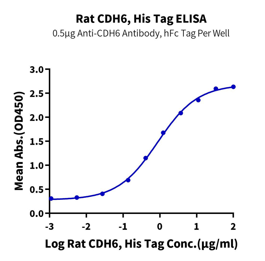 Rat CDH6/Cadherin 6 Protein (CDH-RM106)