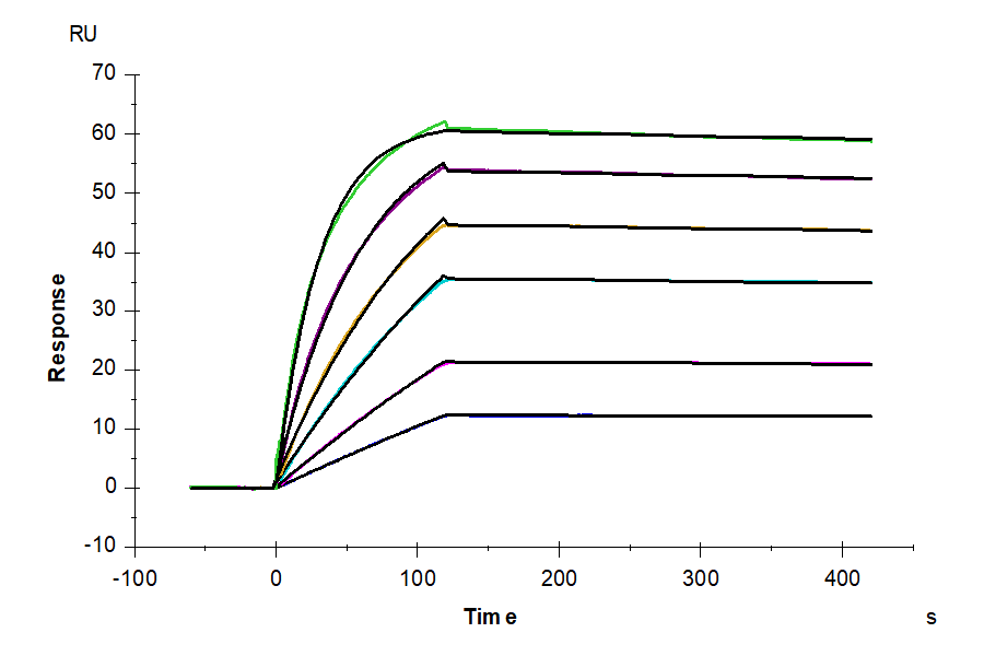 Biotinylated Human SSTR2 Nanodisc (STR-HM10N)