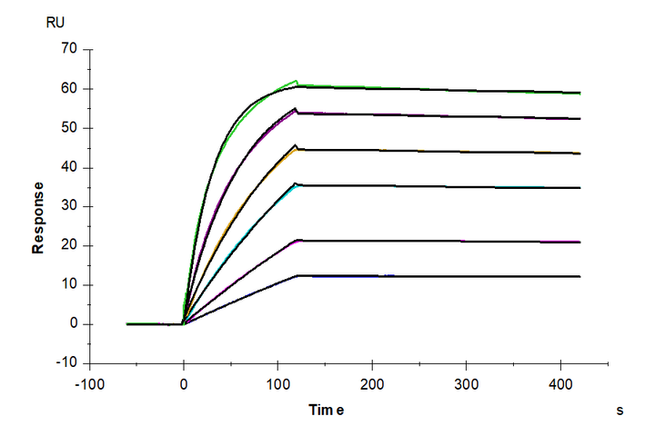 Biotinylated Human SSTR2 Nanodisc (STR-HM10N)