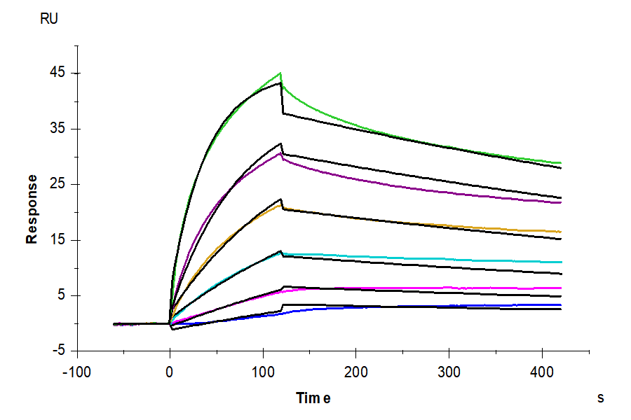 Biotinylated Canine CD20/MS4A1 Nanodisc (CD2-DM12NB)