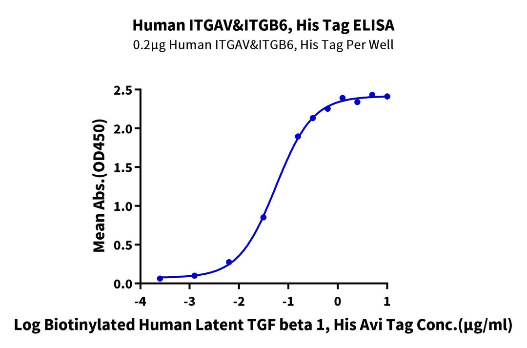 Human Integrin alpha V beta 6 (ITGAV&ITGB6) Heterodimer Protein (ITG-HM1A6)