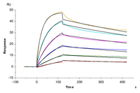 Biotinylated Human NY-ESO-1 TCR&CD3 Complex VLP (TCC-HM00VB)