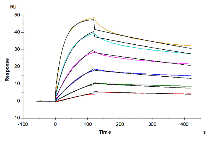 Biotinylated Human NY-ESO-1 TCR&CD3 Complex VLP (TCC-HM00VB)