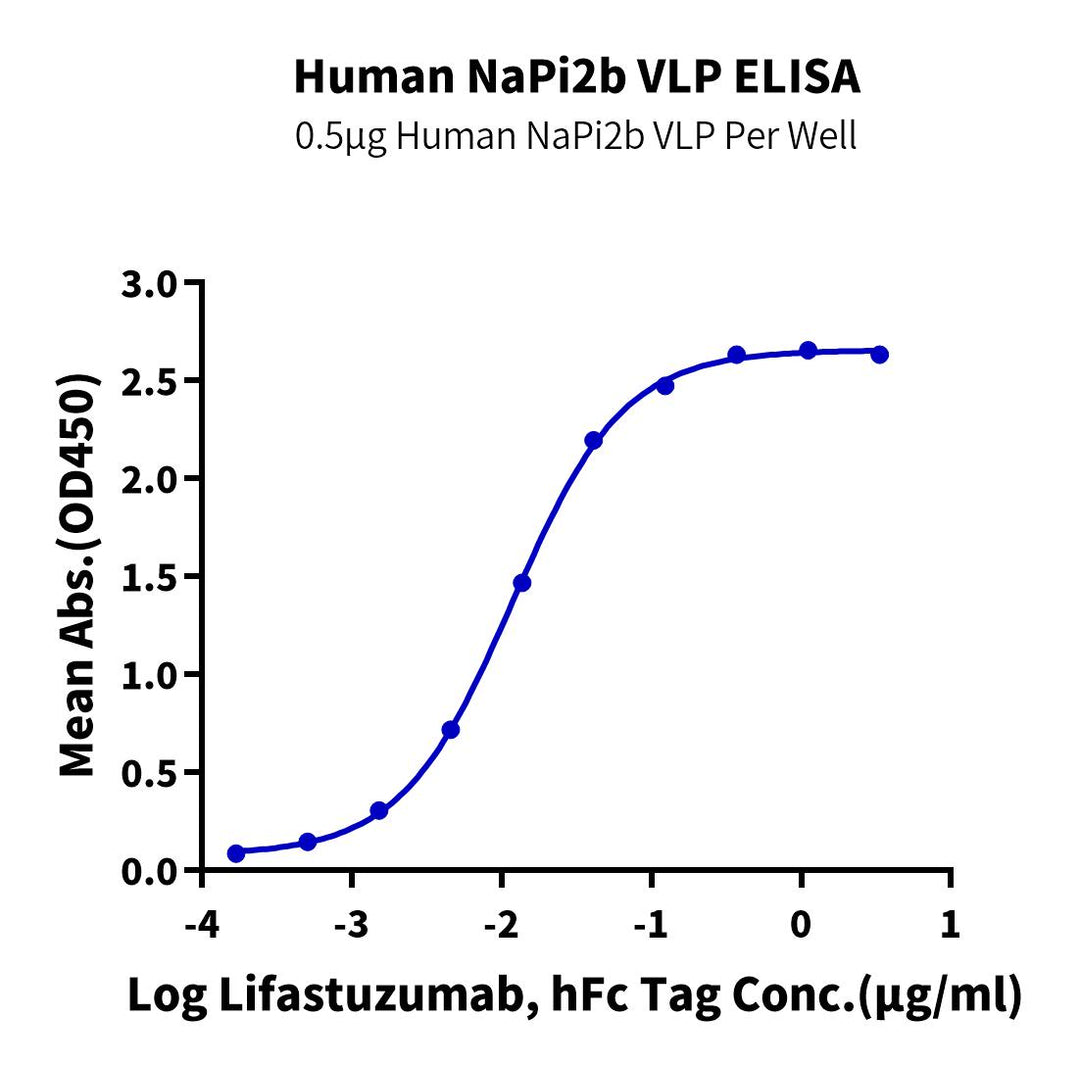 Human NaPi2b/SLC34A2 VLP (SLC-HM02V)