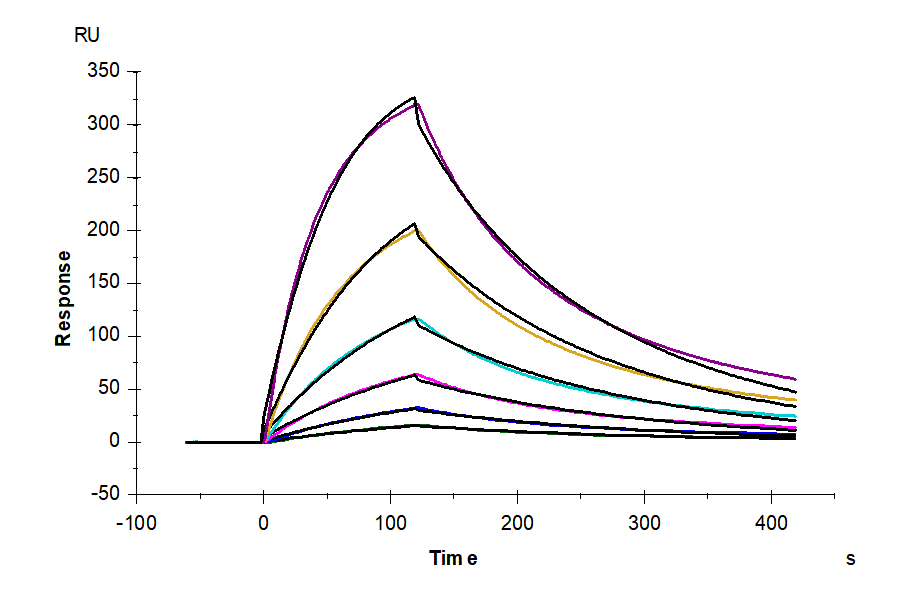 Human Integrin alpha 4 beta 7 (ITGA4&ITGB7) Heterodimer Protein (ITG-HM147)