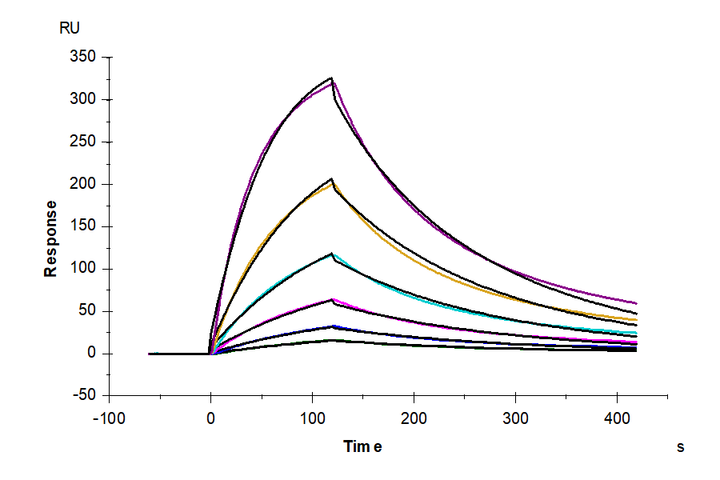Human MADCAM1 Protein, Ultra Low Endotoxin (MCM-HM201-UL)
