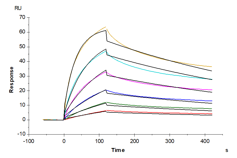 Human Hyper IL-6 Protein (HIL-HM106)