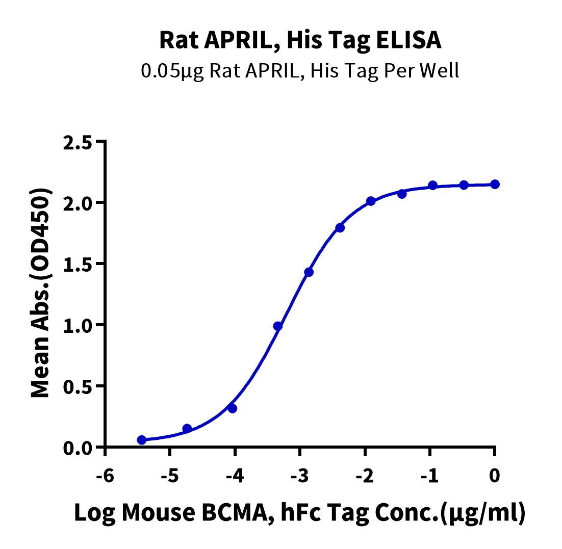 Rat APRIL/TNFSF13 Protein (APR-RM113) | KACTUS