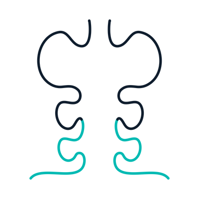 Soluble TCR Expression