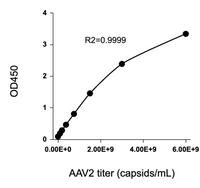 Example standard curve AAV2 titer