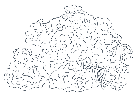 <p>AccuBase® Base Editor</p>
