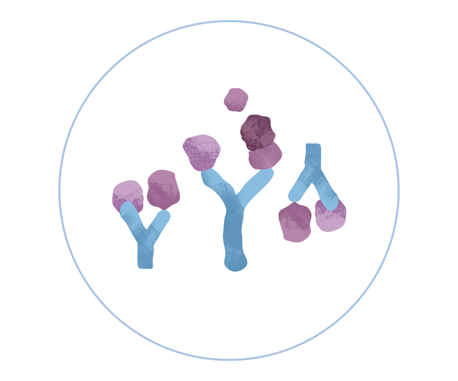 Recombinant Proteins For Drug Discovery – KACTUS