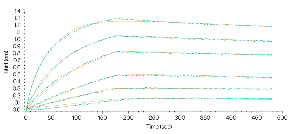 BLI data for KACTUS Claudin 18.2 virus-like particle (VLP) validates high binding affinity of full length membrane protein VLP for antibody development