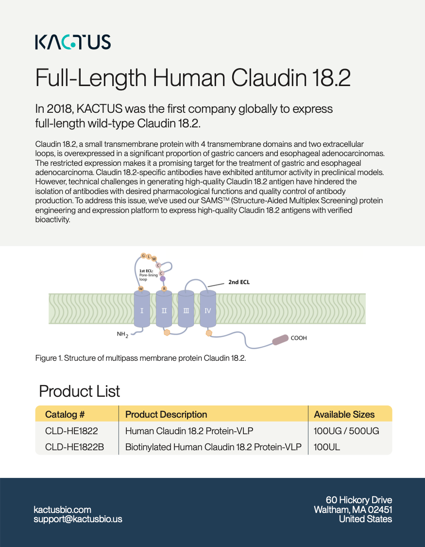 Claudin 18.2 Brochure Cover