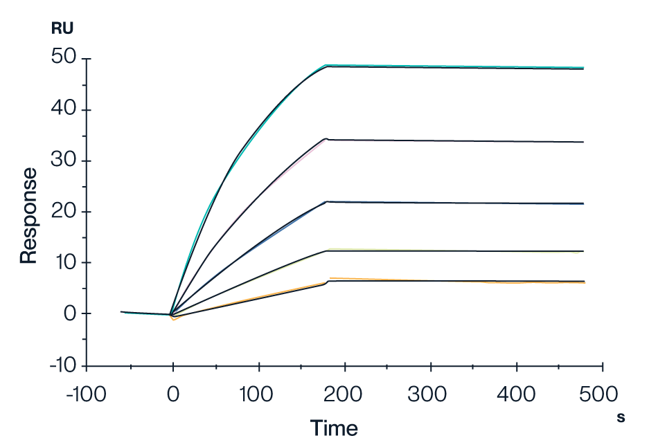 SPR data for KACTUS Claudin 18.2 virus-like particle (VLP) validates bioactivity performance of full length membrane protein VLPs for antibody development