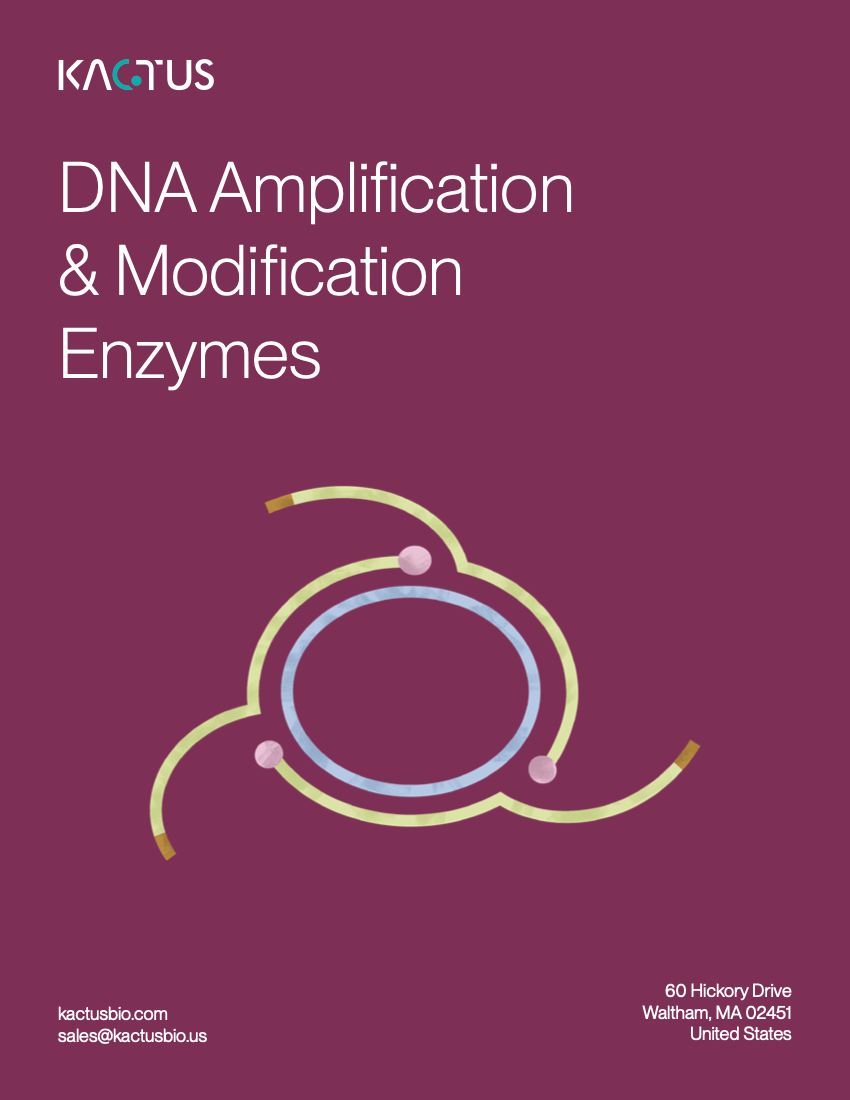 DNA Enzymes Brochure Cover