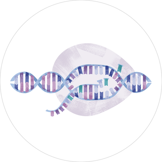 Gmp-grade T7 Rna Polymerase & Mrna Enzymes Products 