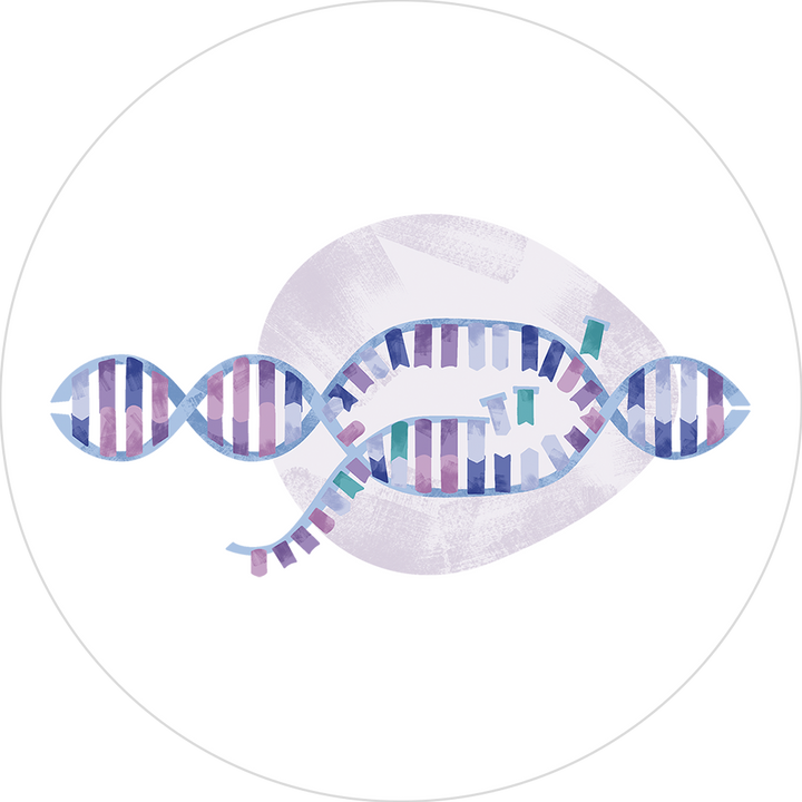 GMP-Grade T7 RNA Polymerase & mRNA Enzymes Products | Kactus – KACTUS