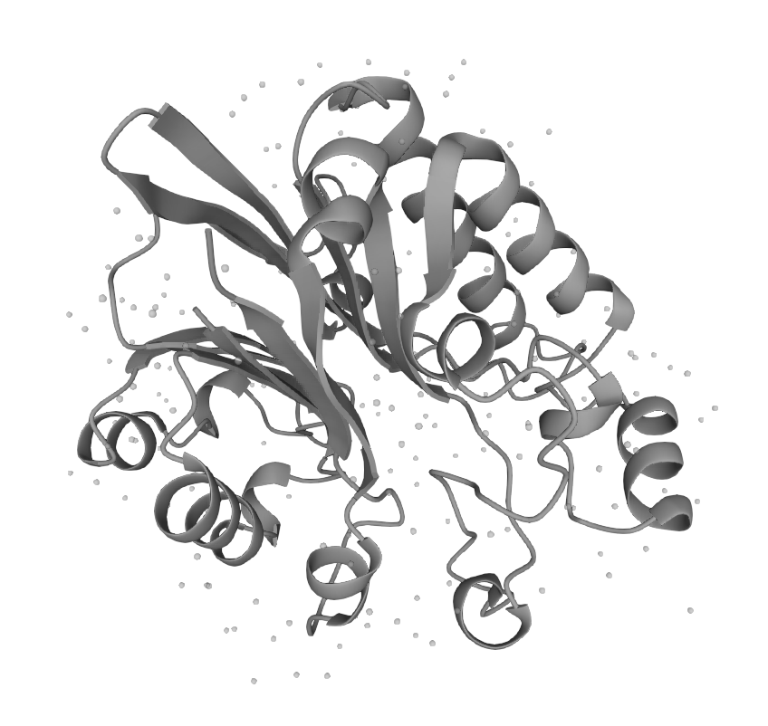 Exonuclease III (EXO-EE101)