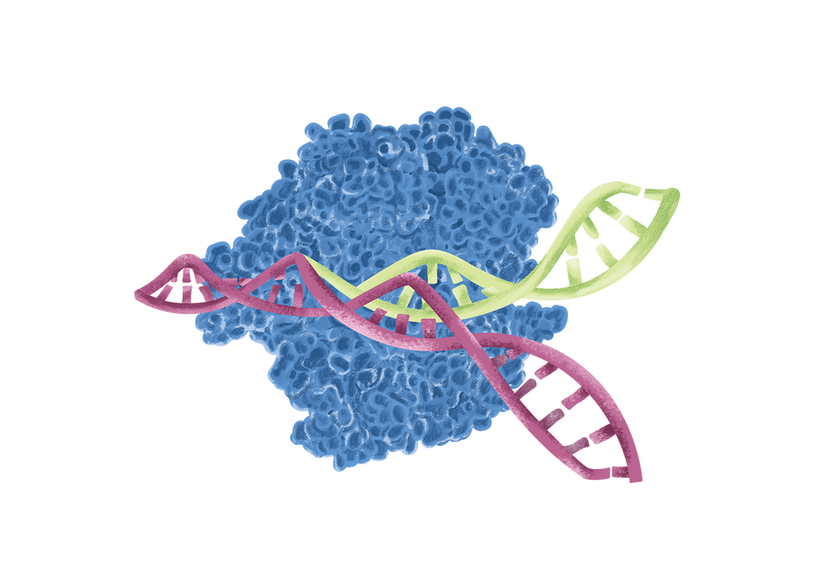 Gene Editing Enzymes And Elisa Kits Kactus