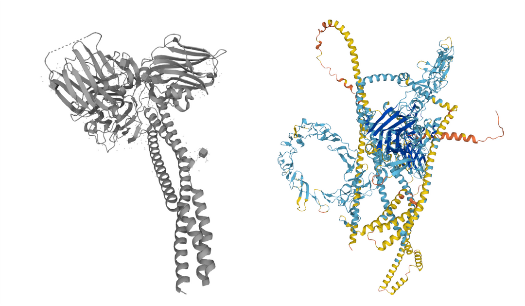 Human Laminin 521 Protein (RG) (LMN-HM521)