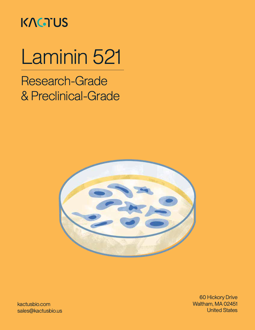 Laminin 521 Brochure Cover