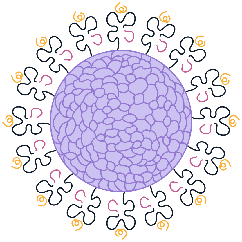 MHC Virus-like partcle