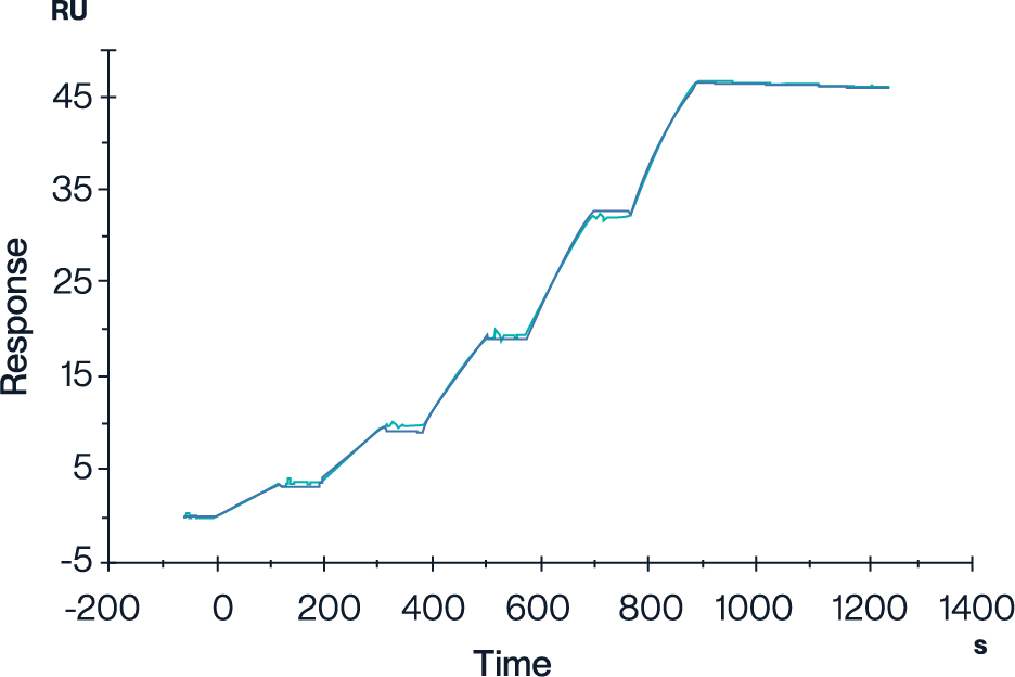 MHC SPR Data High Affinity Binding