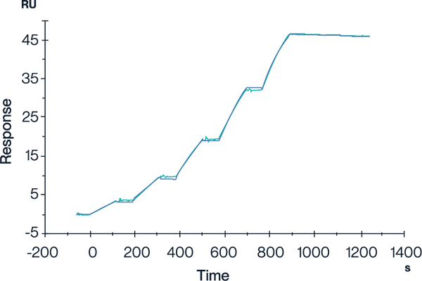 MHC SPR Data High Affinity Binding