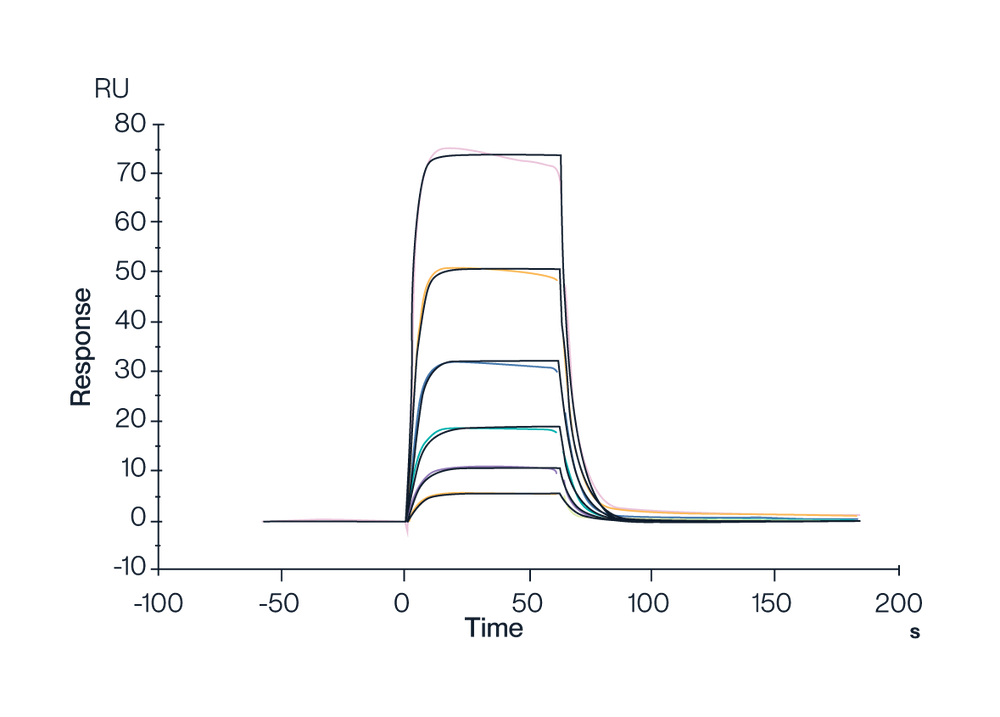 MHC SPR Data for HLA-A*02:01 Tetramer & FMNKFIYEI