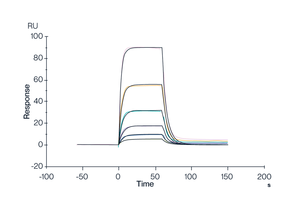 MHC SPR Data on HLA-A*02:01 Monomer & FMNKFIYEI