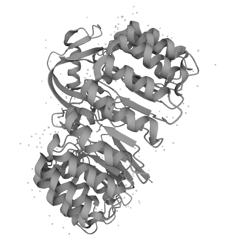 Murine RNase Inhibitor, GMP-Grade (GMP-RNI-ME101), DMF #038031