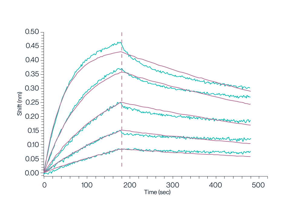 BLI data of KACTUS GPRC5D copolymer nanodisc verifies bioactivity performance of full length membrane protein nanodisc