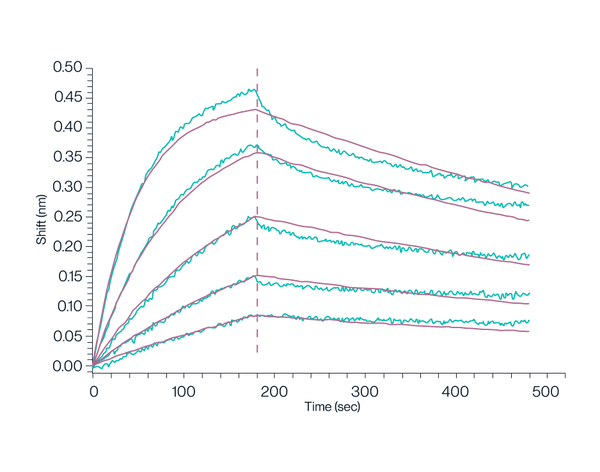 BLI data of KACTUS GPRC5D copolymer nanodisc verifies bioactivity performance of full length membrane protein nanodisc