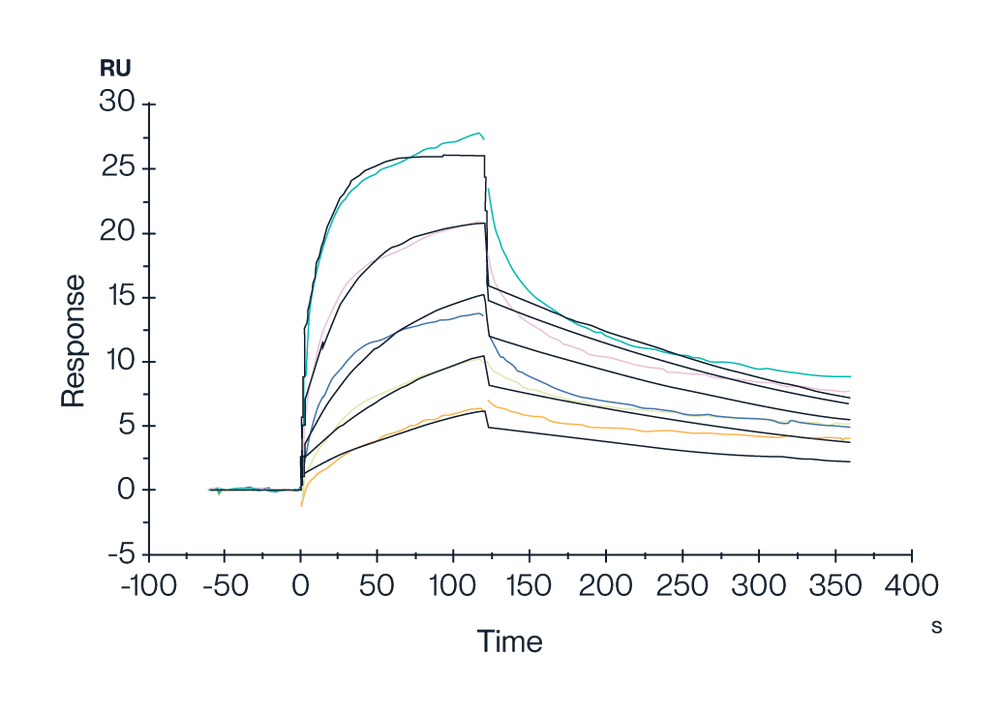 SPR data of KACTUS GPRC5D copolymer nanodisc verified bioactivity performance of full length membrane protein nanodisc