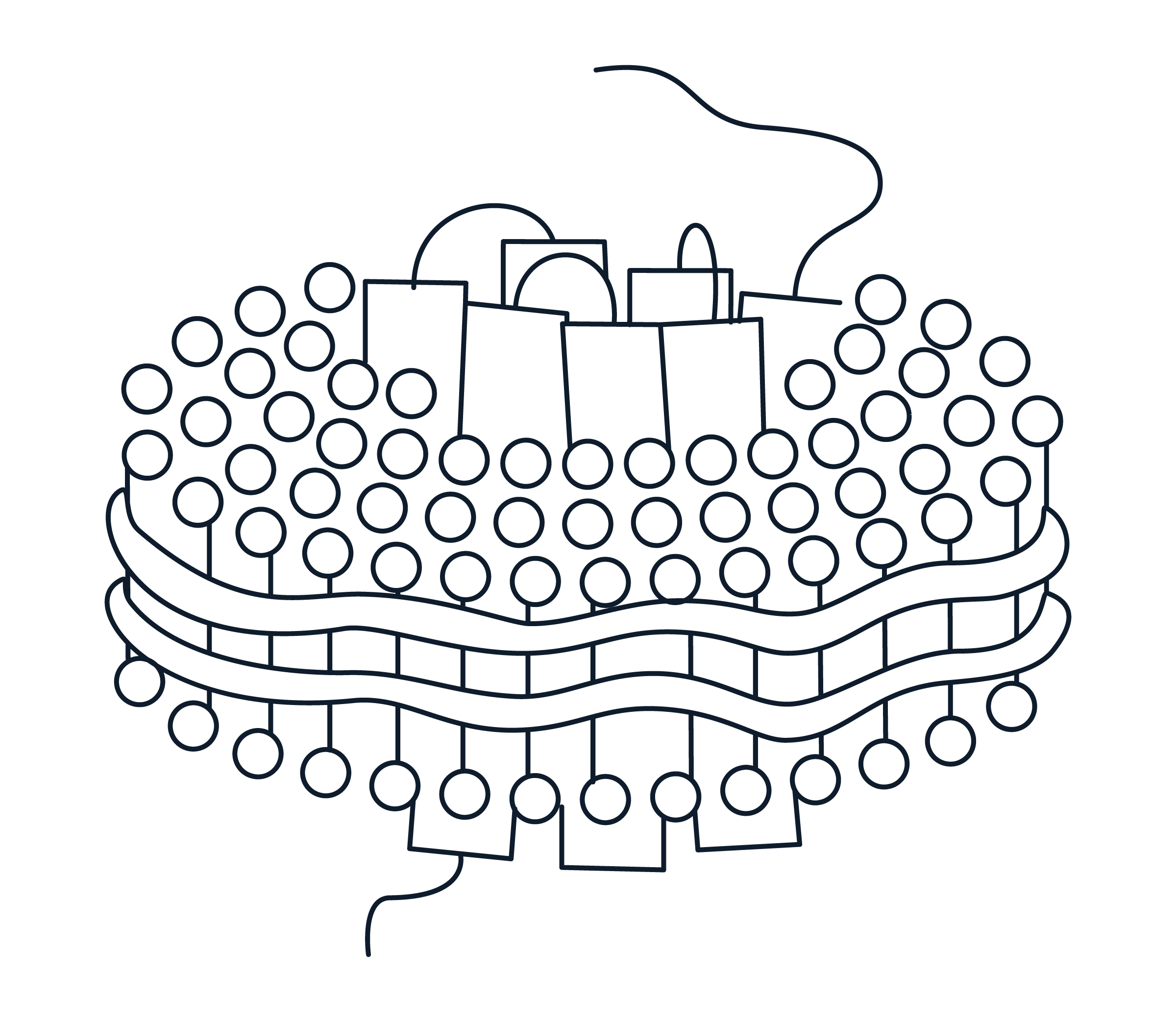 Nanodisc Icon