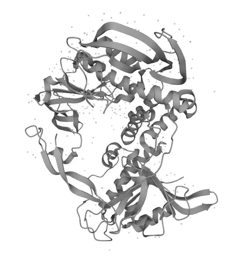 Phi29 DNA Polymerase (PHI-BE101)