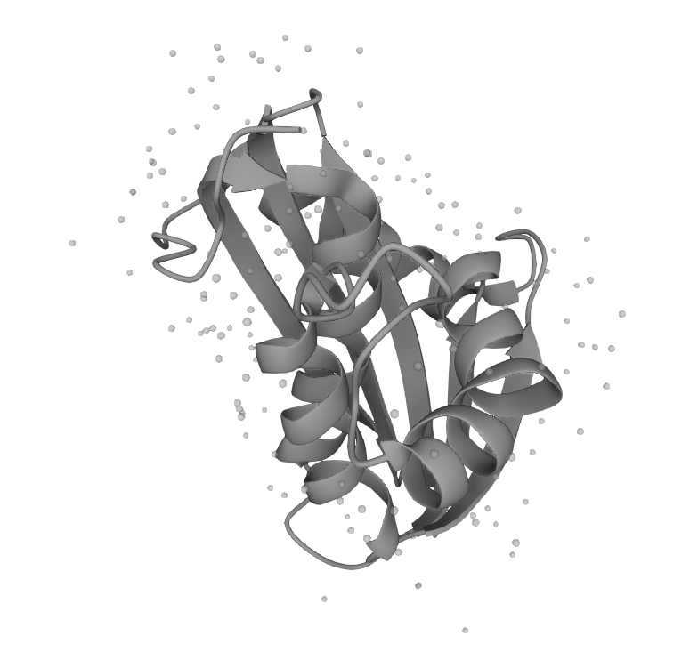 RNase H (RNH-EE101)