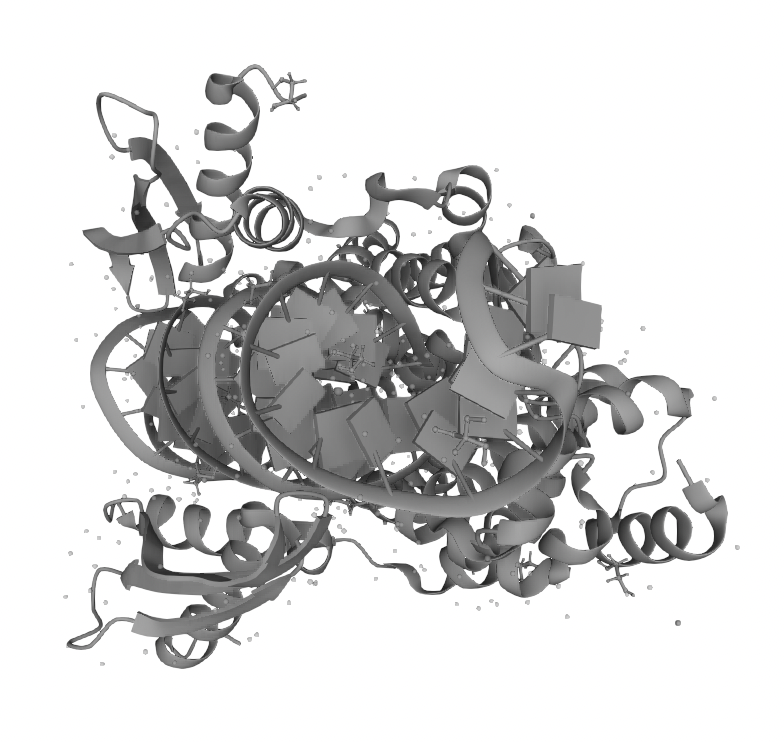 RNase III (RNI-EE601)